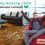 Buddabag Gaming Chair – Game in Absolute Comfort!