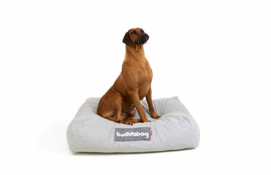 Luxury dog bed