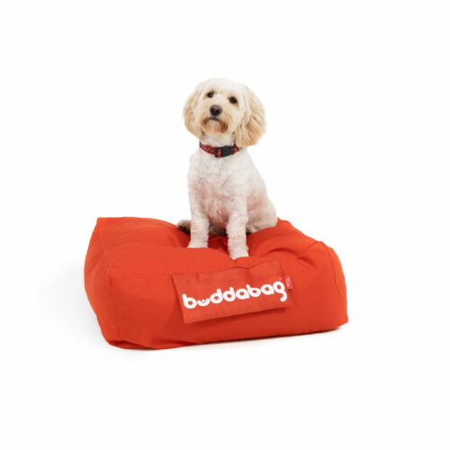 Luxury dog bed