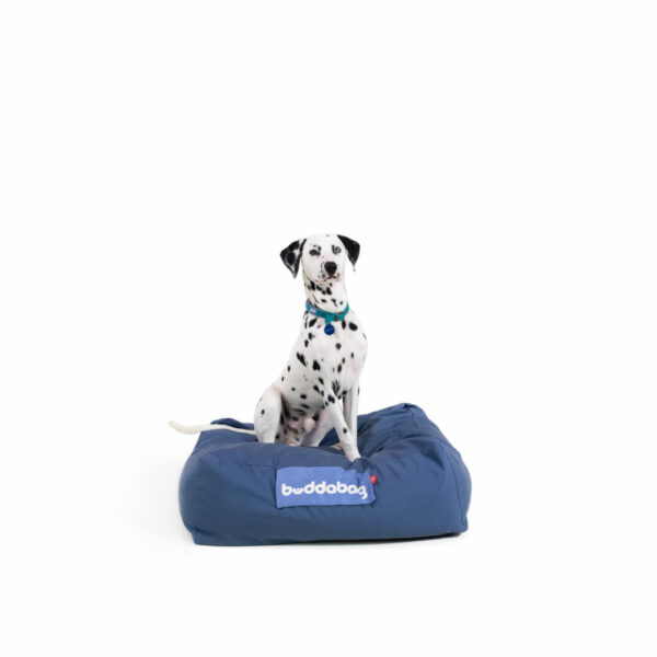 Luxury dog beanbag