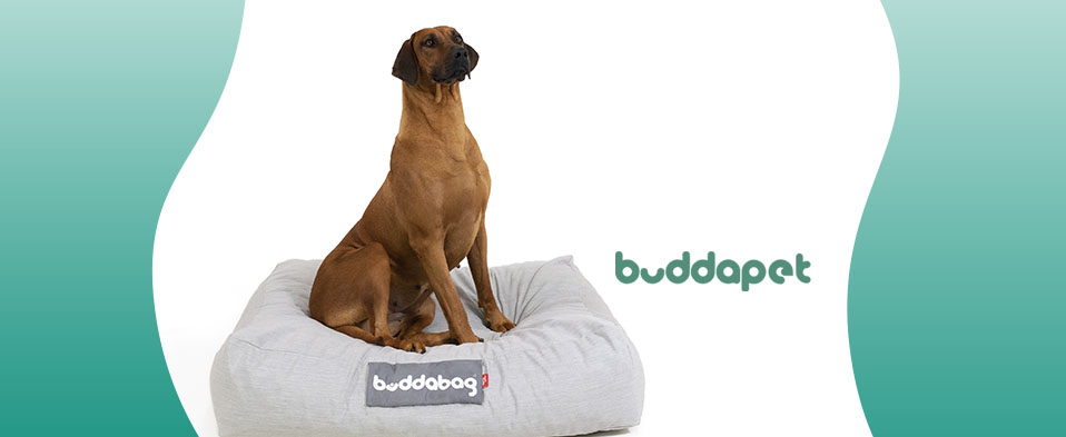 Dog Buddabag for a large dog